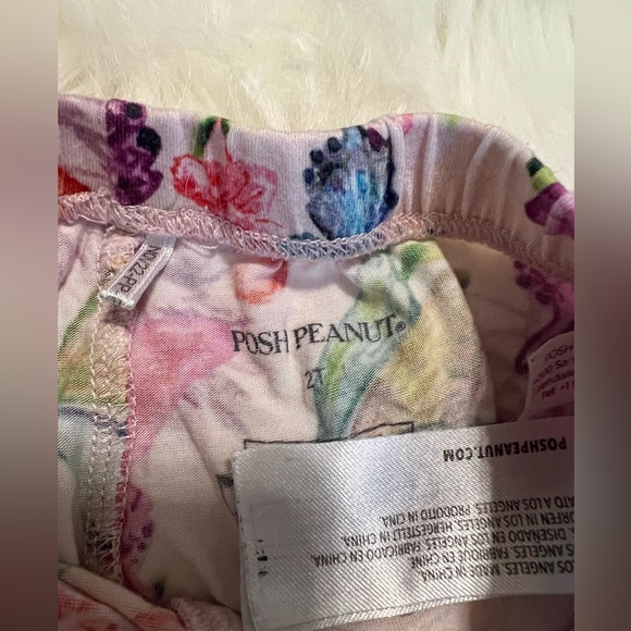 Posh Peanut Butterfly Top/Bottom Pajama Set Size 2t - Picture 5 of 5